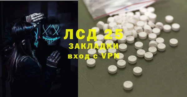 дживик Горняк