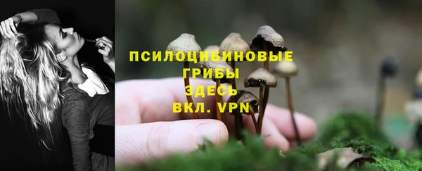 дживик Горняк