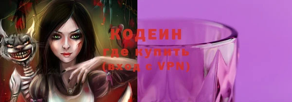 гашик Гусь-Хрустальный