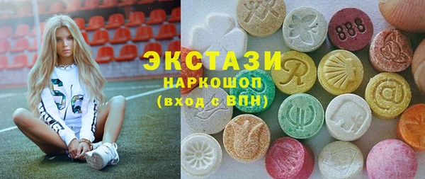 гашик Гусь-Хрустальный