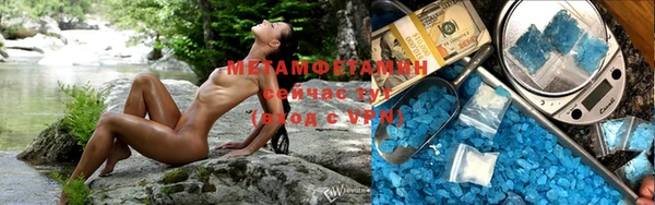 ГАЛЛЮЦИНОГЕННЫЕ ГРИБЫ Гусев