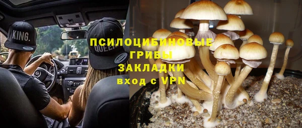 дживик Горняк