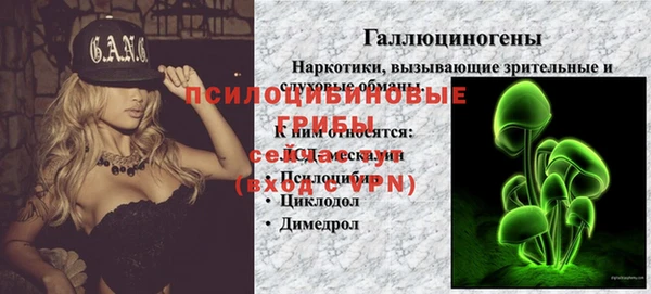 ГАЛЛЮЦИНОГЕННЫЕ ГРИБЫ Гусев