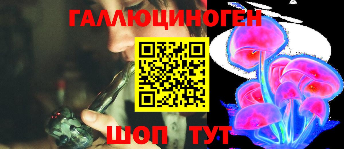 Псилоцибиновые грибы Psilocybine cubensis Новошахтинск