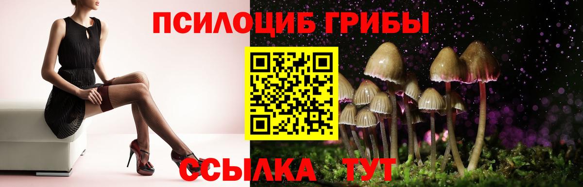 Новошахтинск  дарнет шоп  Вход с VPN  Галлюциногенные грибы прущие грибы 